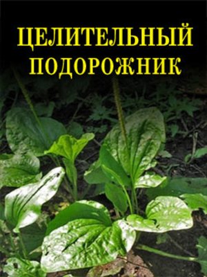 cover image of Целительный подорожник